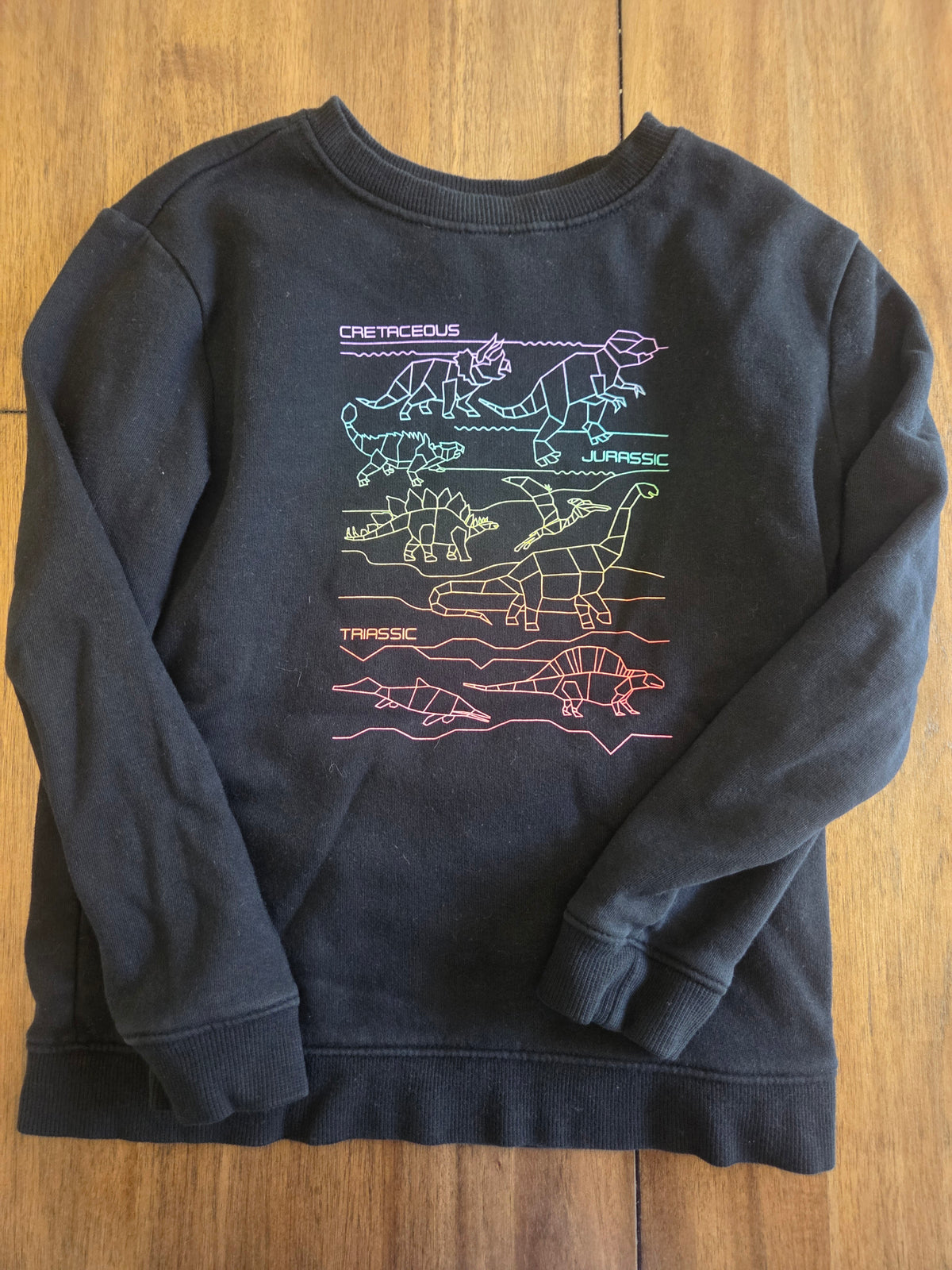 Seller 188 Boys Dino sweatshirt and zip up size 6/7