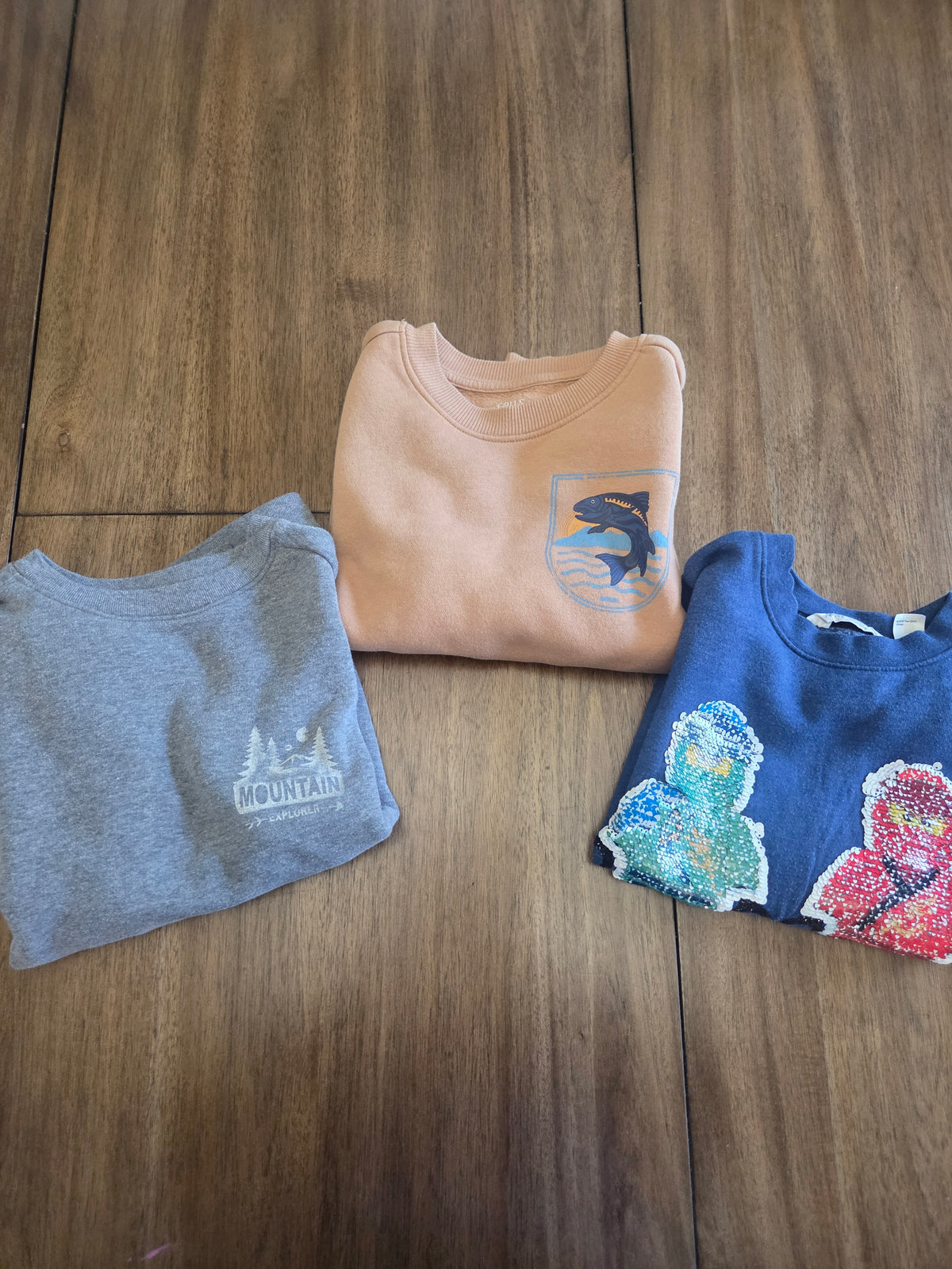 Seller 188 Boys size 6-7 Sweatshirt bundle