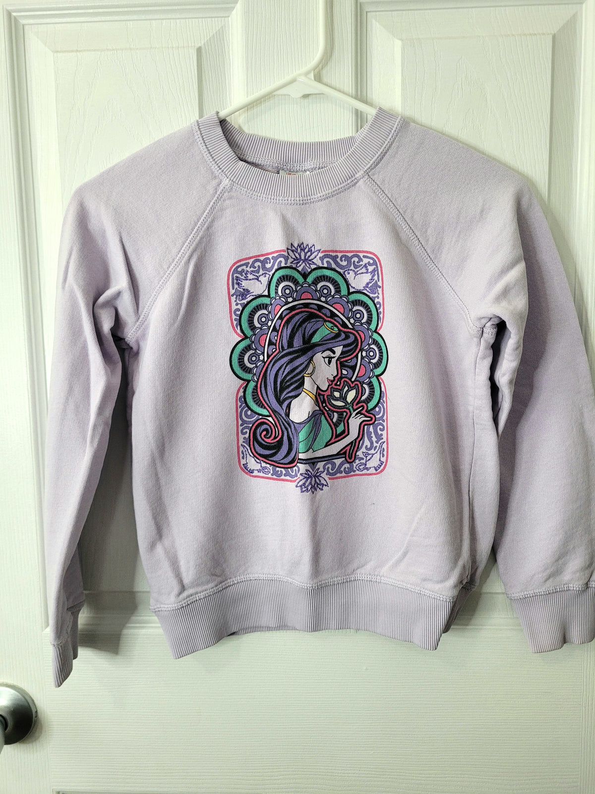 #164 Disney x Hanna Andersson Collab Princess Jasmine Embroidered Crewneck Girls 130/8