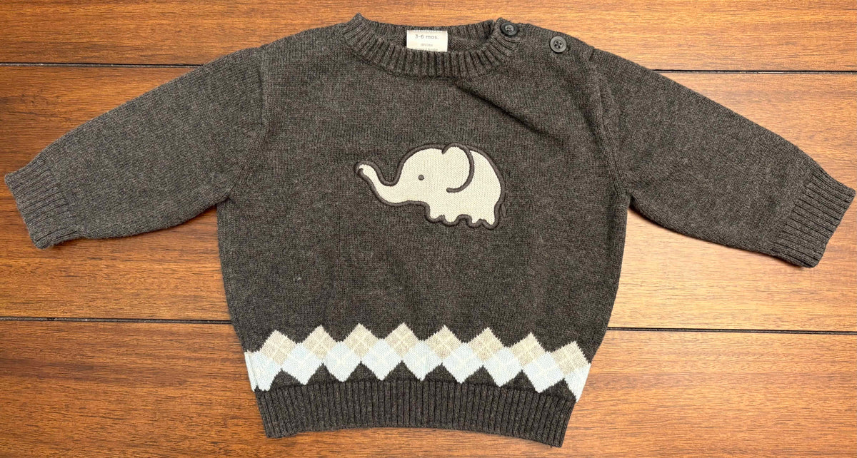#197 Gymboree Boys Size 3-6M Light Blue & Gray Elephant "Little Peanut" Outfit Set