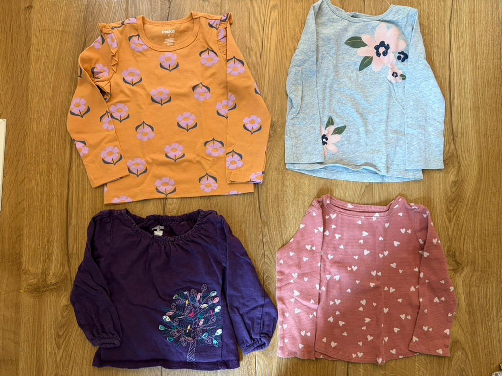 #6 - Assorted Brands Girls Long Sleeved Shirts (bundle of 4) - 3T