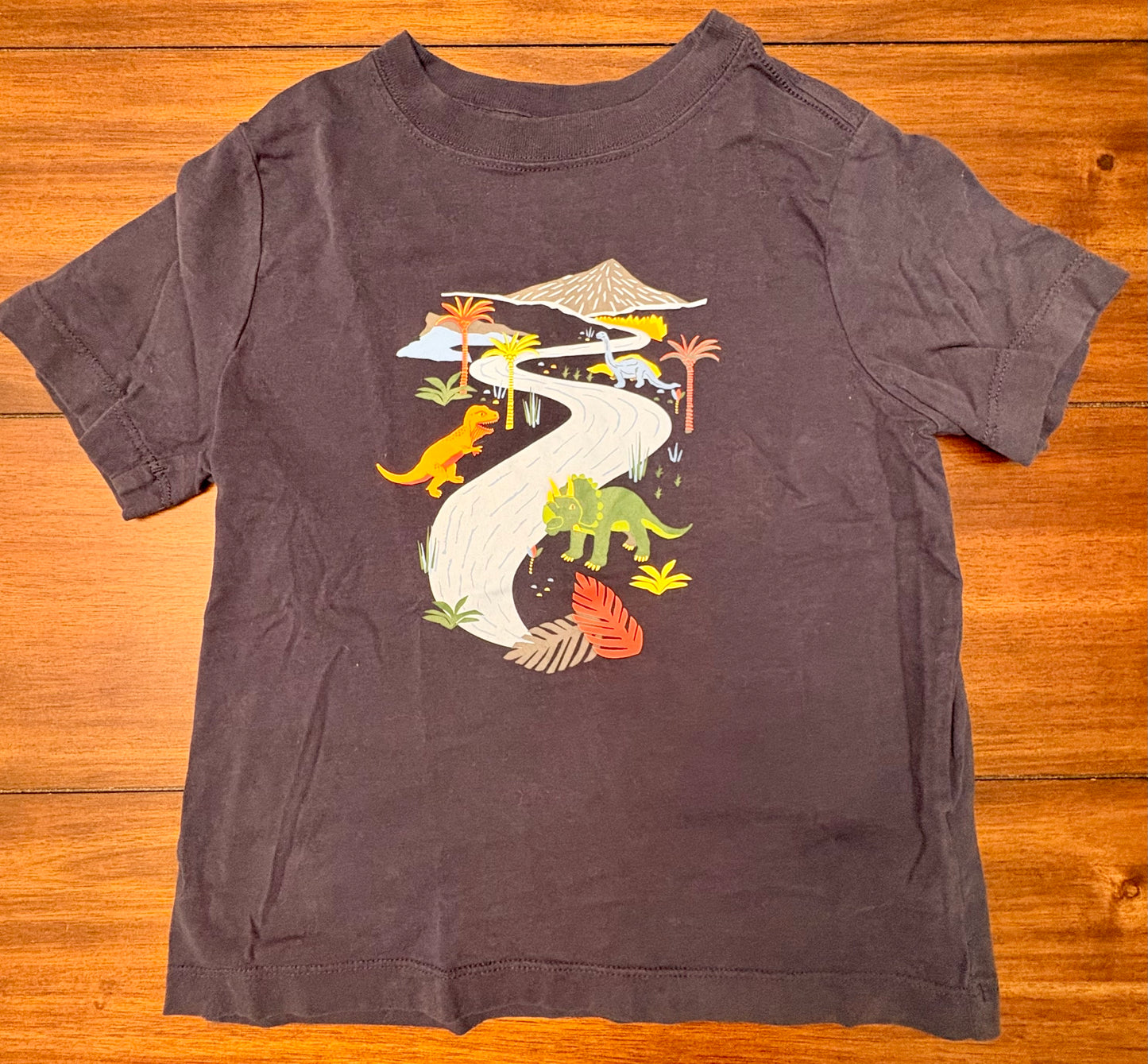 Seller #210 Hanna Andersson Boys Size 5 Navy Dinosaur Graphic T-shirt