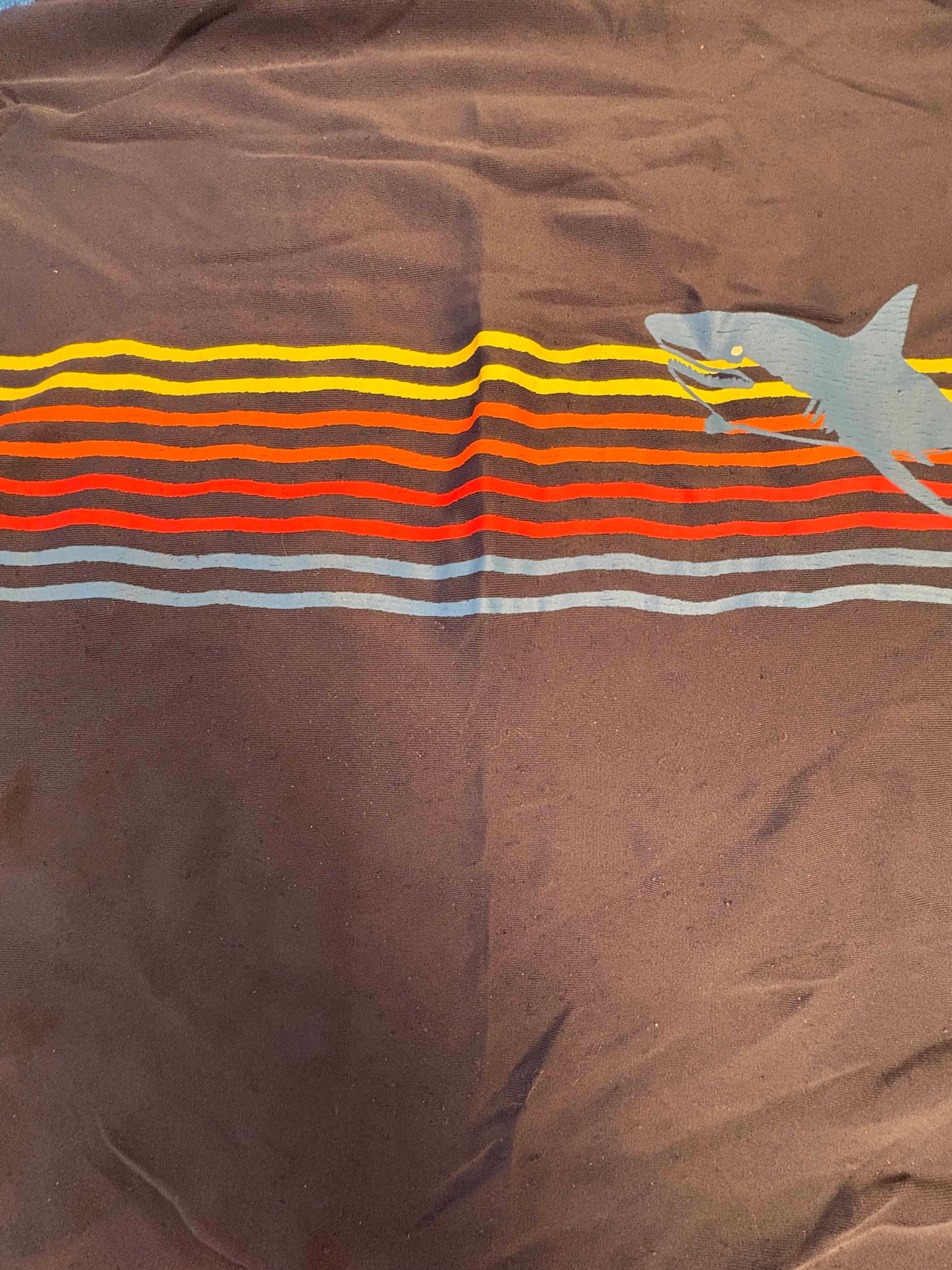 Seller #210 Hanna Andersson Boys Size 10 Blue Shark Rash Guard & Beach Printed Swim Trunks