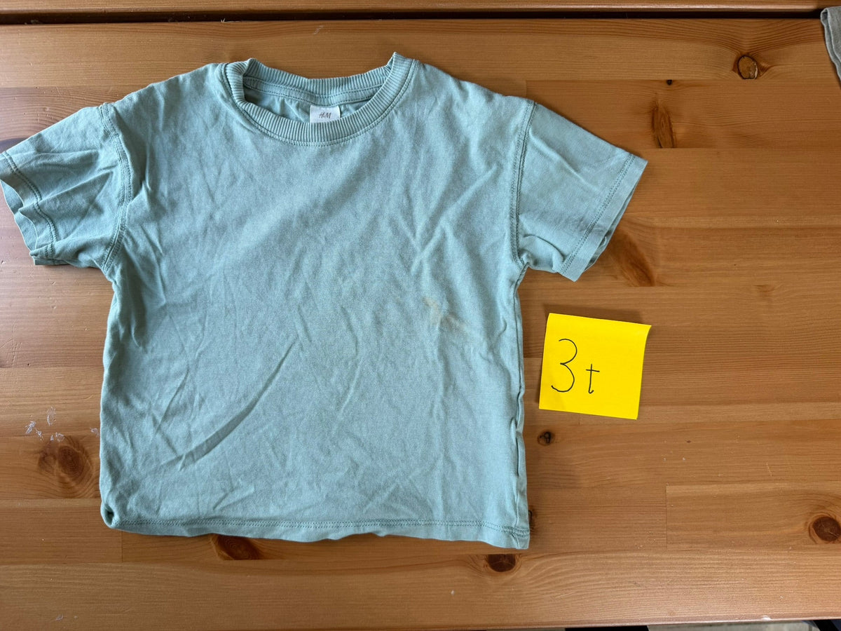 Seller #94 Boys 3t T shirt Bundle H&M, Gap Green