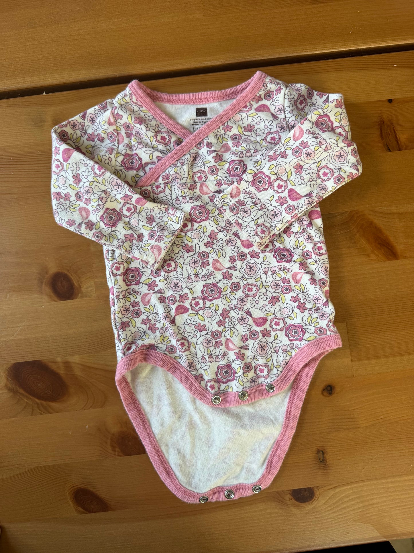Seller #94 Girls 6m Tea Collection Dress and onsie bundle