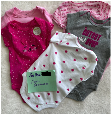 Seller #7 Brand new 0-3 mo Girl set of bodysuits (5)