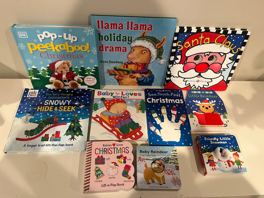 Seller #20 Toddler Christmas book lot