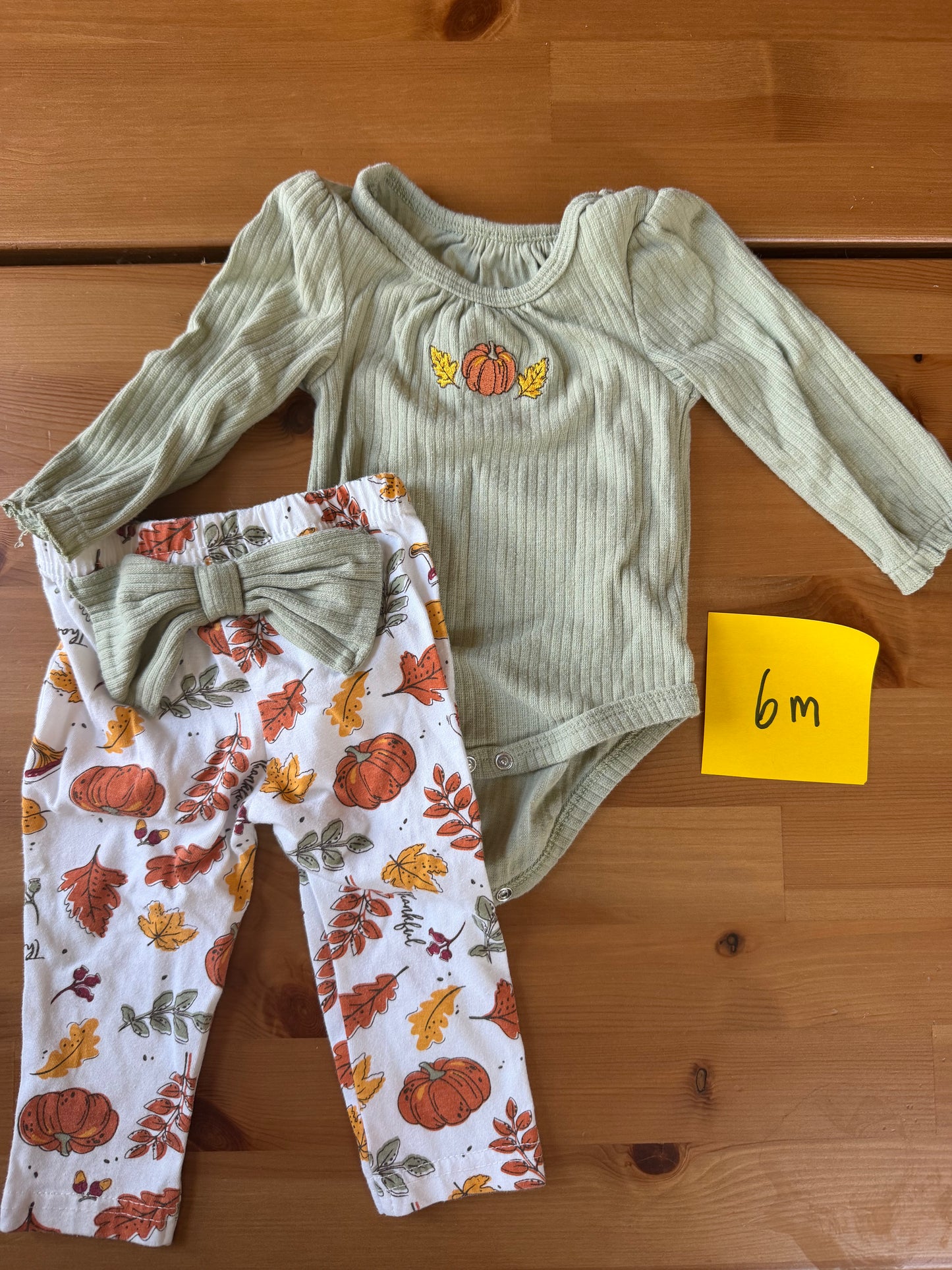 Seller #94 Girls 6M Fall Outfit