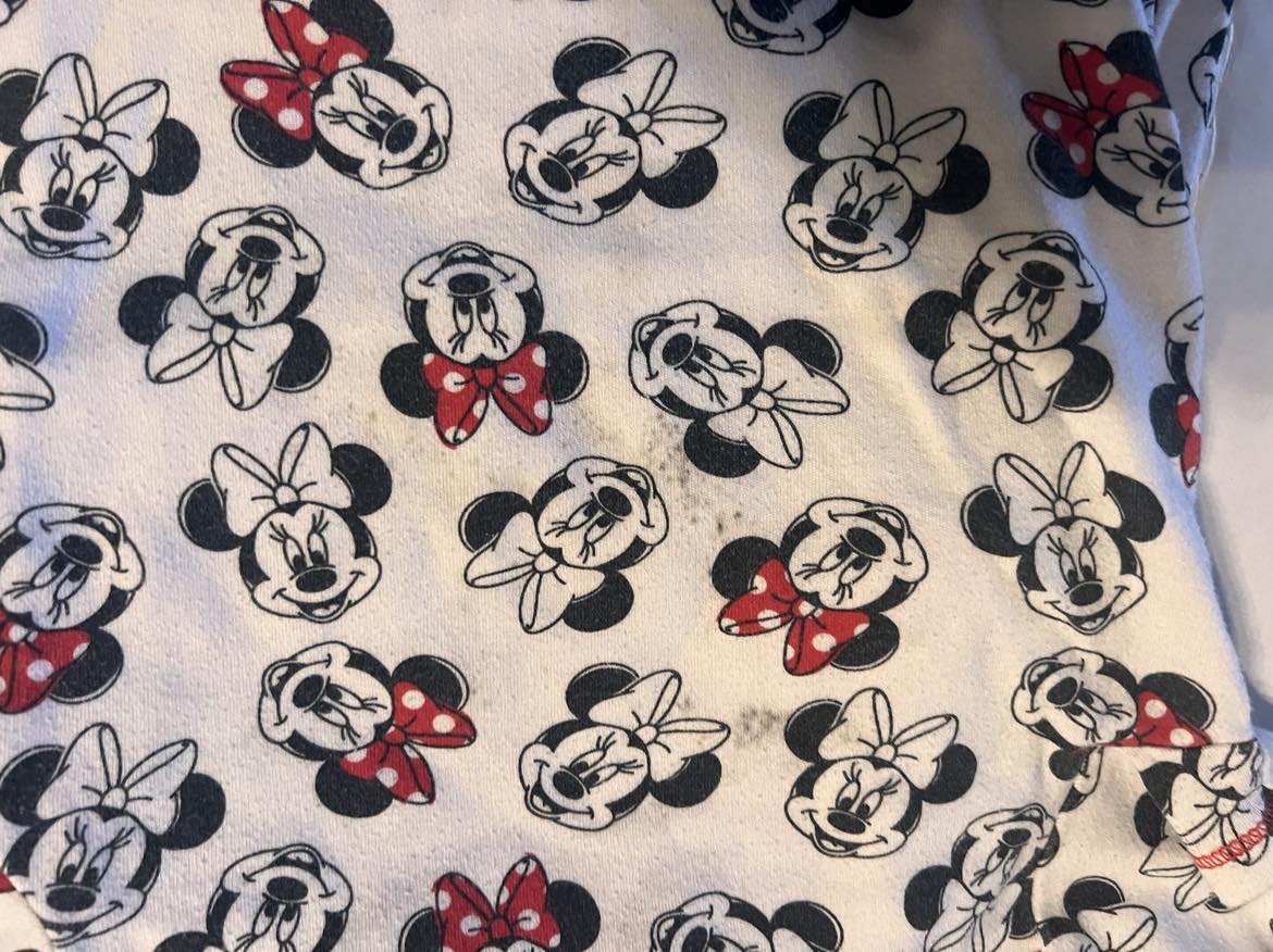 Minnie/Mickey bundle