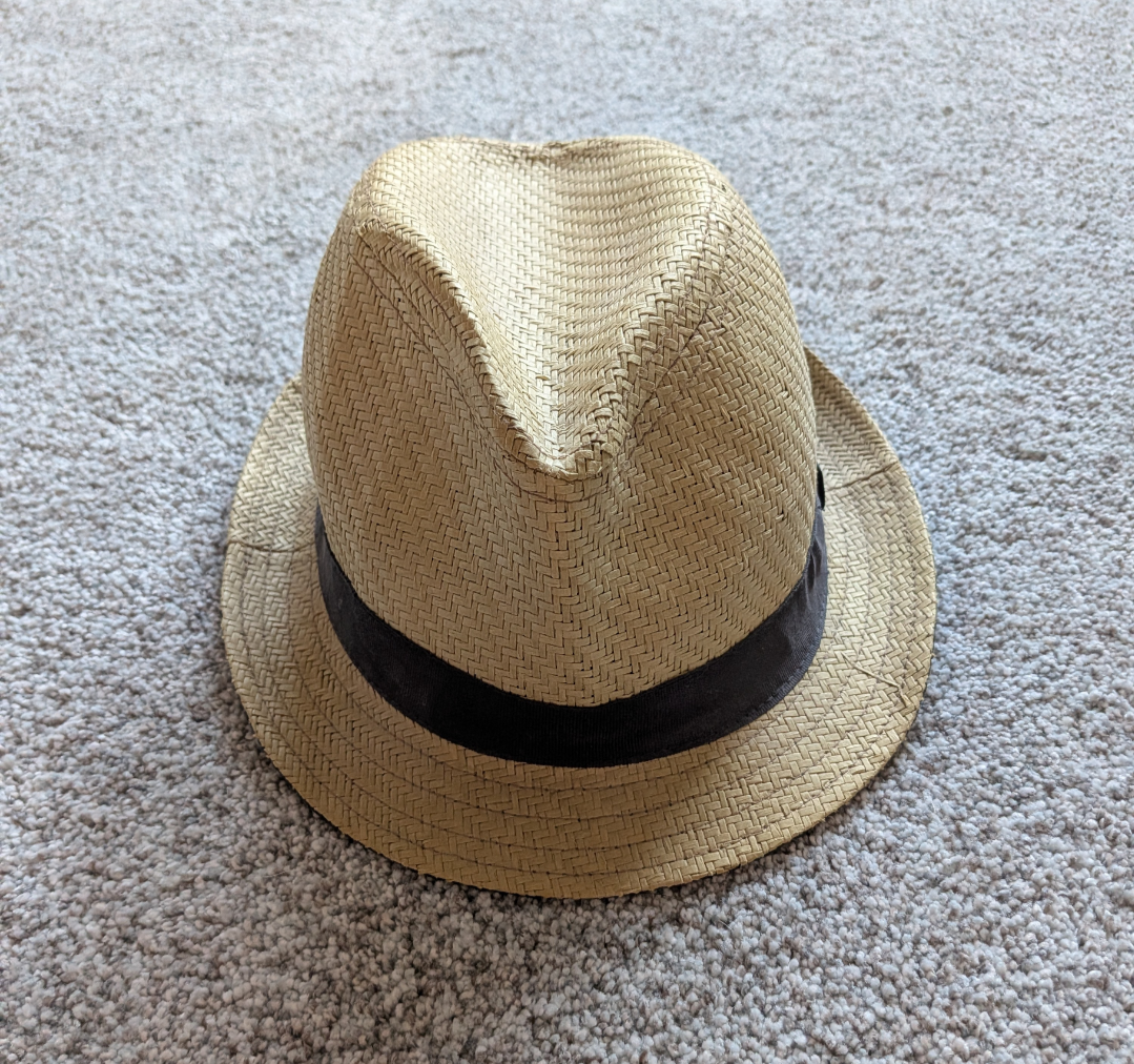 #17 Banana Republic women's fedora S/M