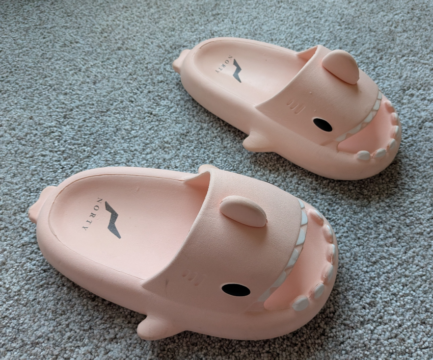 #17 Shark Shoes size 30-31 (12-13.5)