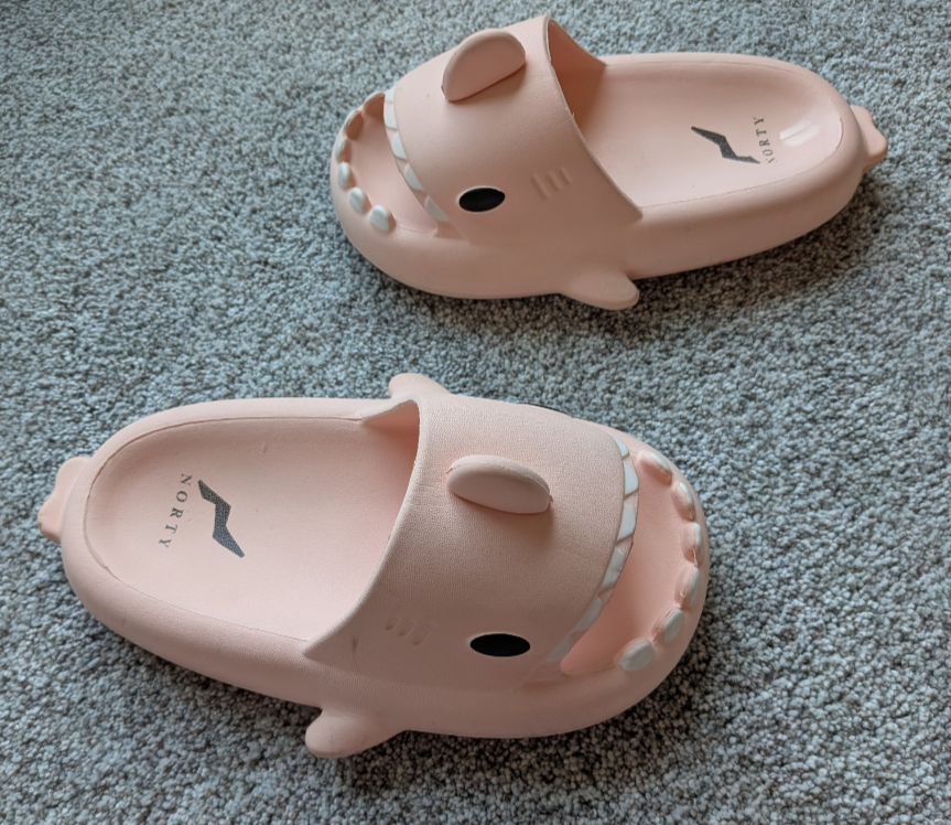 #17 Shark Shoes size 30-31 (12-13.5)