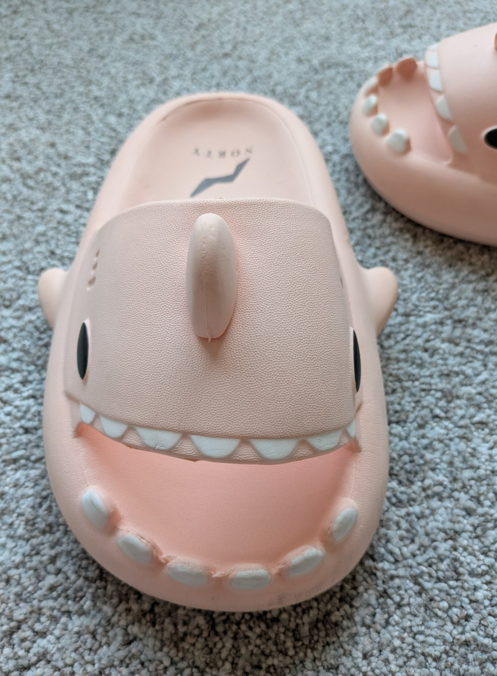 #17 Shark Shoes size 30-31 (12-13.5)