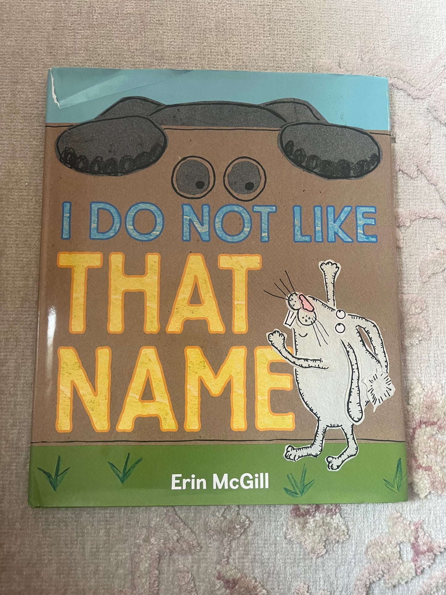 I do not like that name: kids book