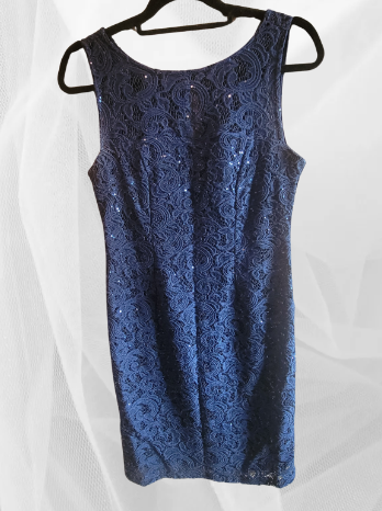 Scarlett Formal Navy Blue Lace Dress Women's Size 6