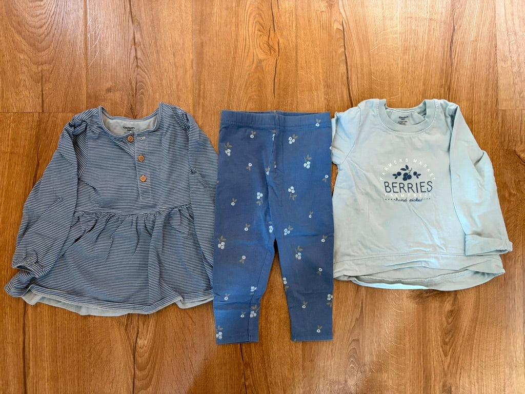 #6 -  Gerber Kids Girls Blueberry Outfit - 2T
