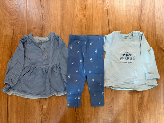 #6 -  Gerber Kids Girls Blueberry Outfit - 2T