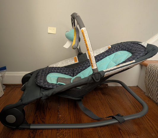 Seller 97, Summer Infant 2-in-1 Bouncer & Rocker Duo (item 240)