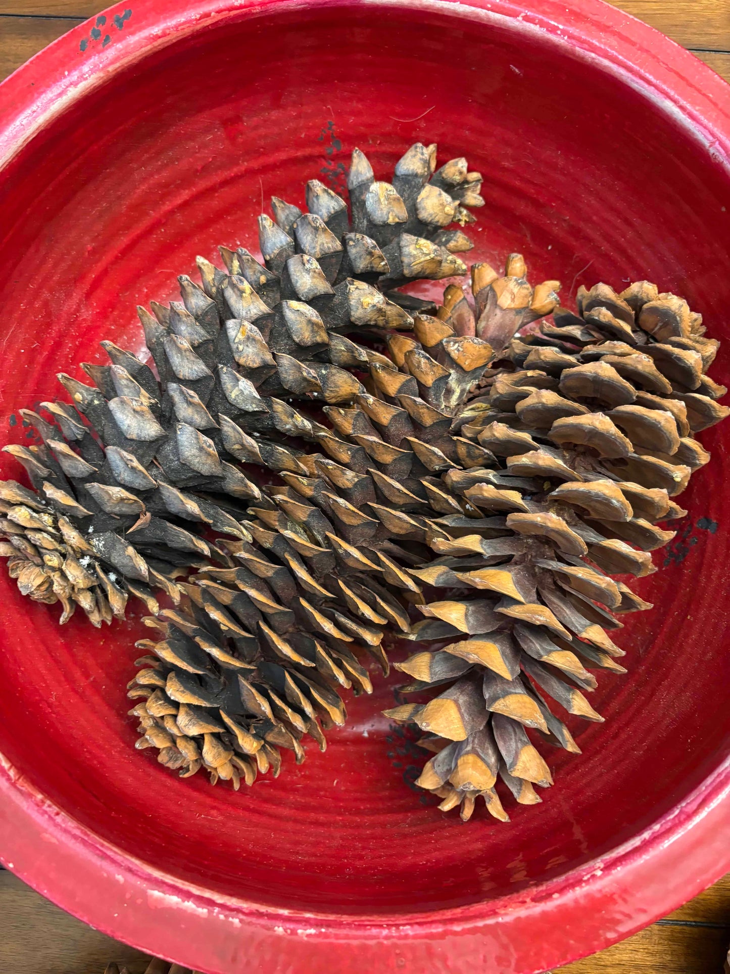 Seller #210 Large Red Rustic Bowl Filled with Giant Pinecones