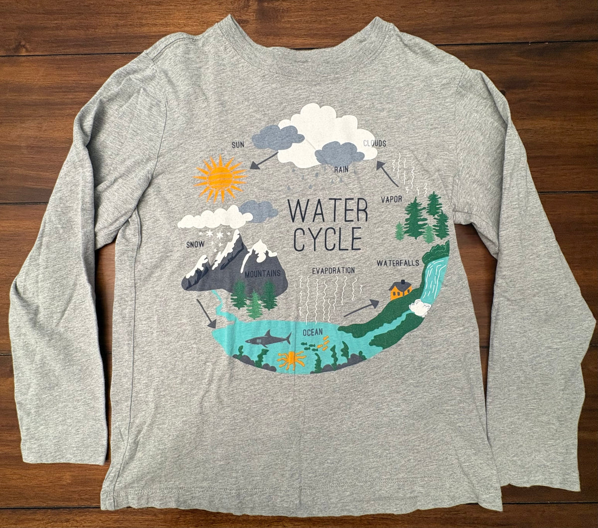 #197 Hanna Andersson Boys Size 12 Gray Water Cycle Printed Long Sleeve Top