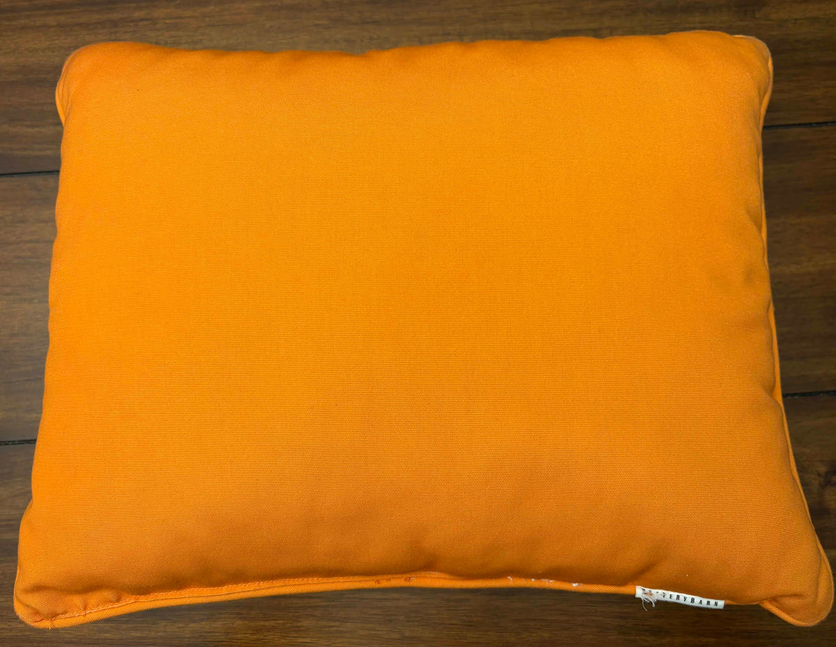 #197 Pottery Barn Gray & Orange Halloween Pillow