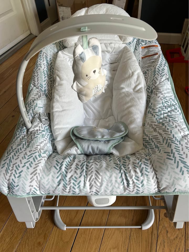 Seller 128 -  Ingenuity 3 in 1 Baby Seat - New!