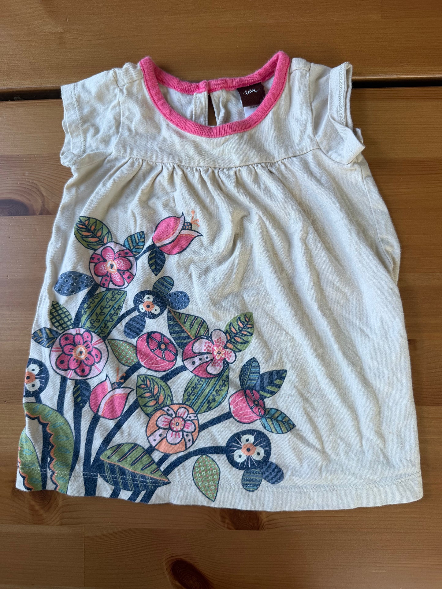 Seller #94 Girls 6m Tea Collection Dress and onsie bundle