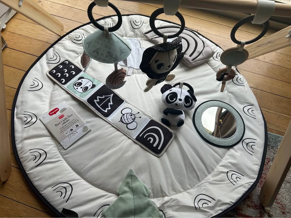 Seller 128 - Tiny Land Play Gym and Activity Mat