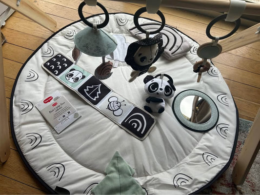 Seller 128 - Tiny Land Play Gym and Activity Mat