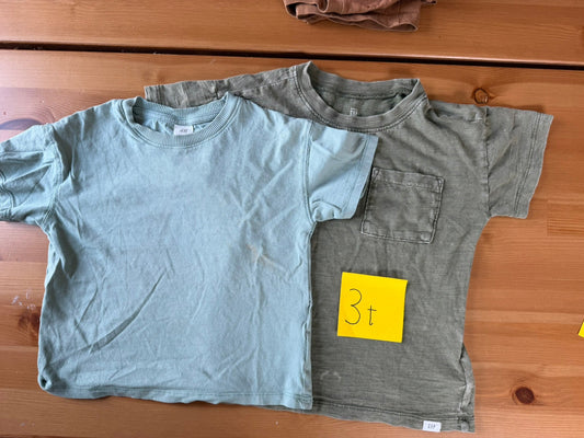 Seller #94 Boys 3t T shirt Bundle H&M, Gap Green