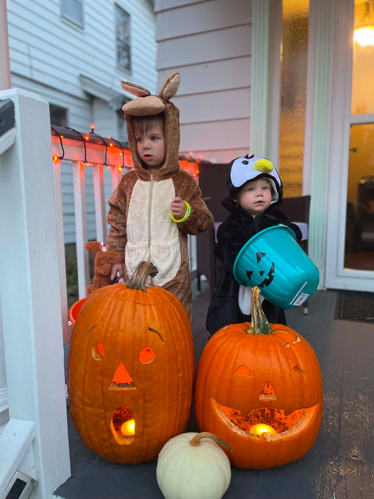 #54 - 4/5 Kangaroo Costume