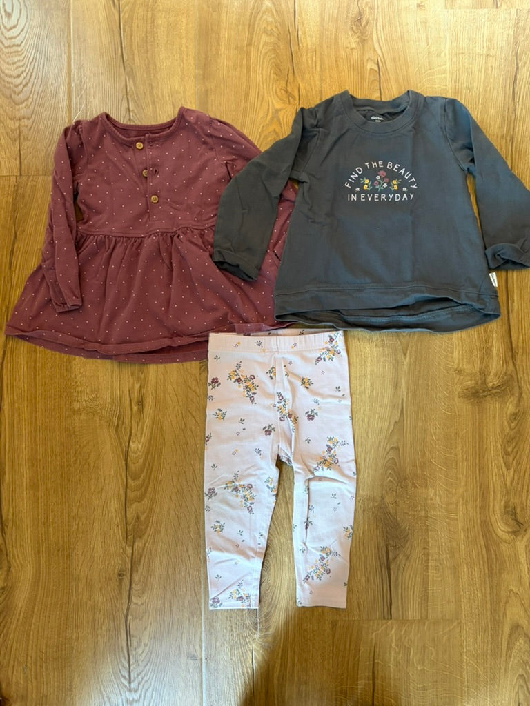 #6 - Gerber Kids Girls Floral/Polka Dot Outfit - 2T