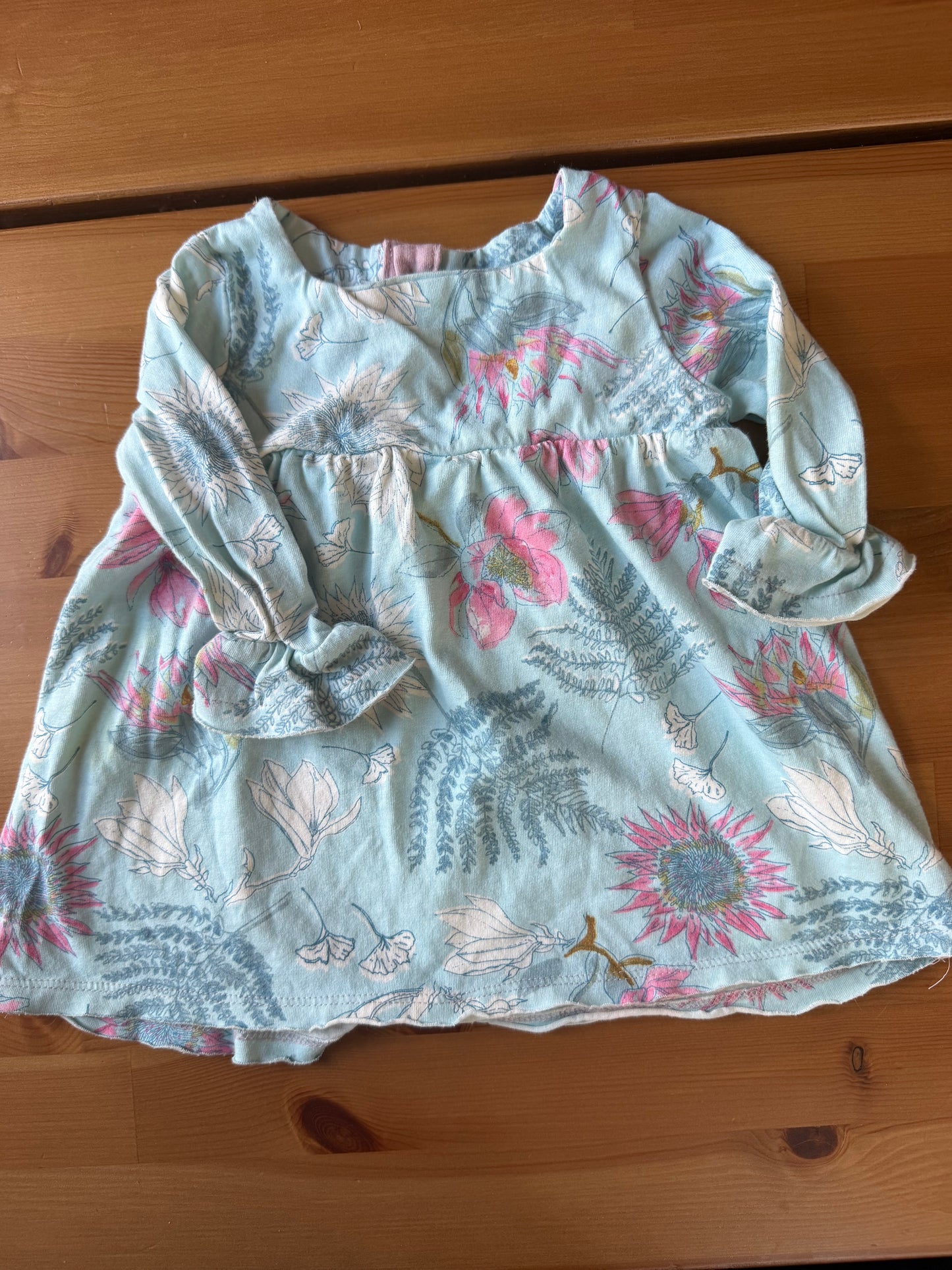 Seller #94 6m Girls Burts Bee floral jumper and dress bundle