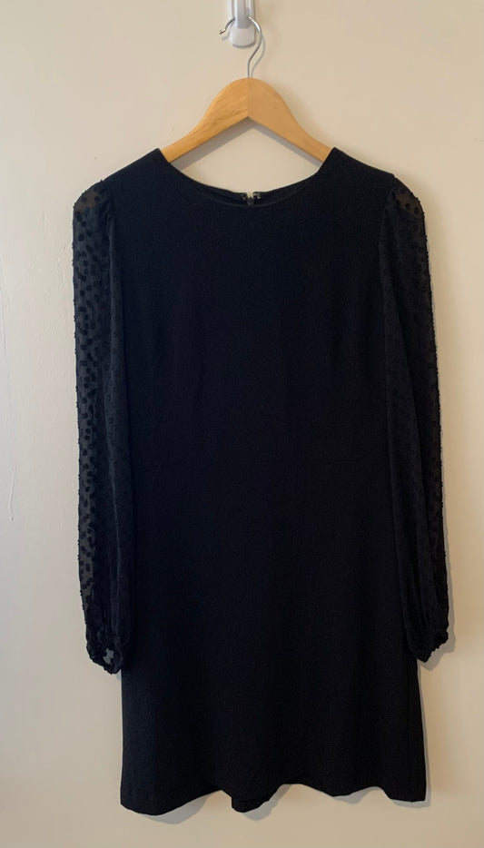 Size 6 NWT Ann Taylor Women's Black Dress with Sheer Sleeves