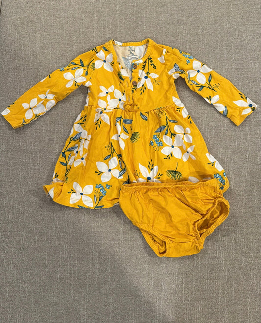 #145 Carters dress & bloomers set Girls 12 mth EUC