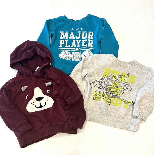 #149 3T Sweatshirt Bundle