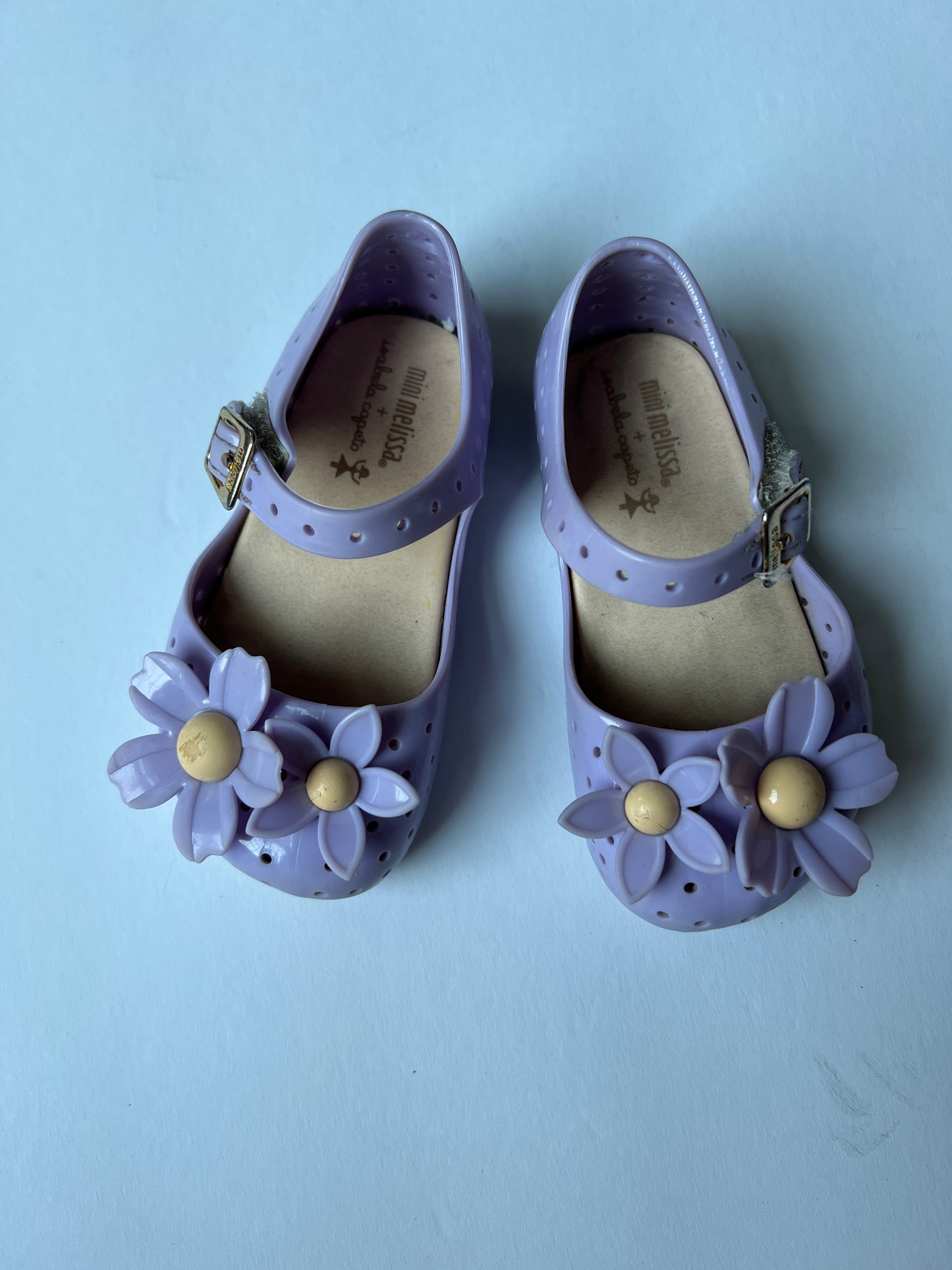 Toddler Girl Shoe Size 7 Mini Melissa Purple Daisy
