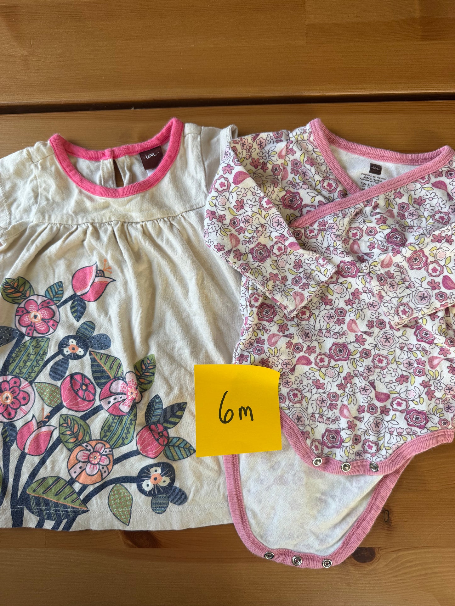 Seller #94 Girls 6m Tea Collection Dress and onsie bundle