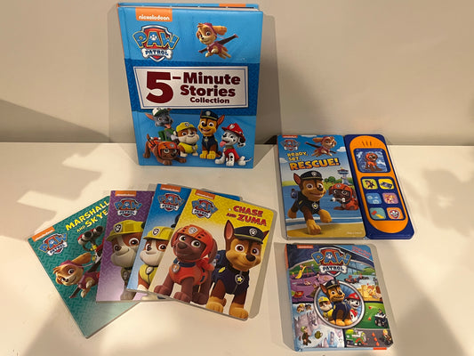 Seller #20 Paw Patrol book lot