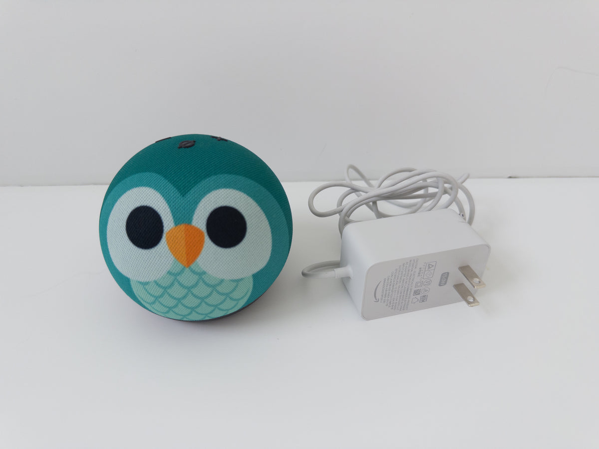 #38 Amazon Kids Echo Dot Owl (5th Gen 2022)