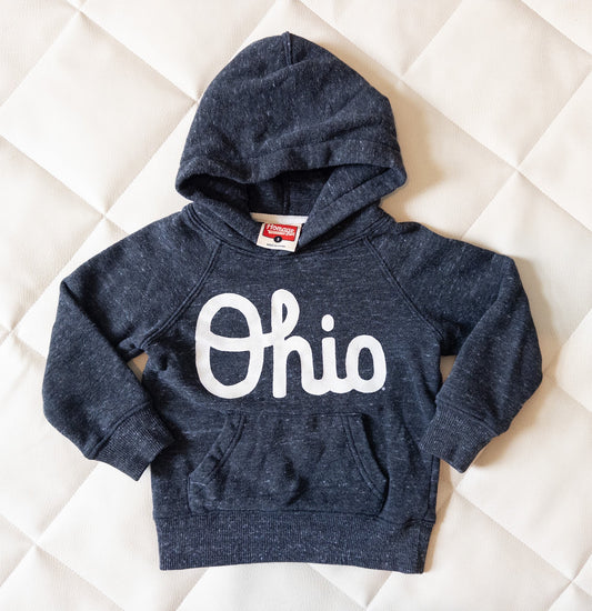 #152 Homage 2T Ohio State hoodie - EUC