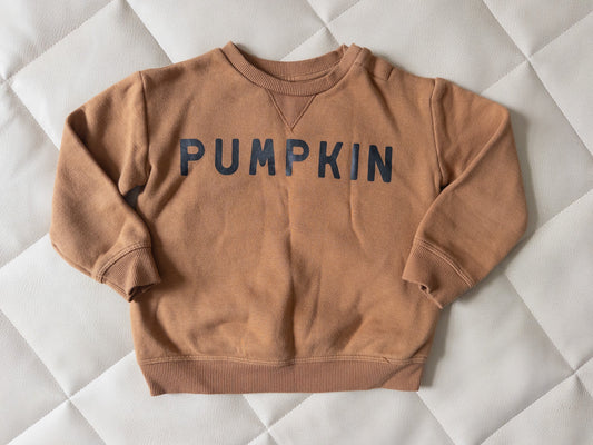 #152 Little Co. 24m Pumpkin crew neck sweatshirt - EUC