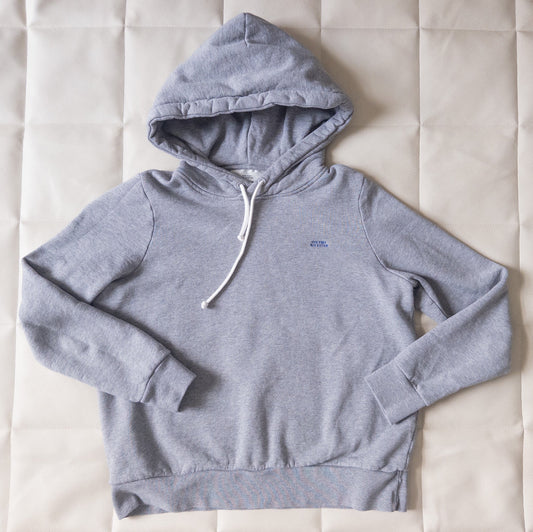 #152 women's Tiny Big Sister XXS heather gray hoodie - EUC