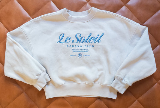 #37 Abercrombie Small Crewneck Sweatshirt - EUC