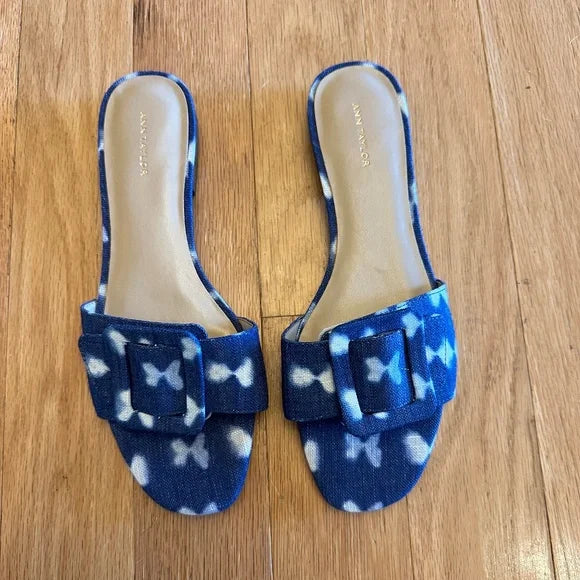 #105 Ann Taylor Slides size 9