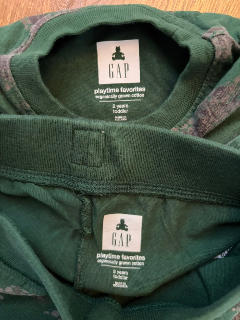 #6 - Gap Boys Dinosaur Outfit - 2T