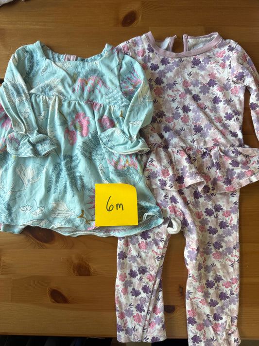 Seller #94 6m Girls Burts Bee floral jumper and dress bundle