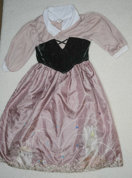 #31 Little Adventures Girl's Sleeping Beauty Costume, Size 5-7