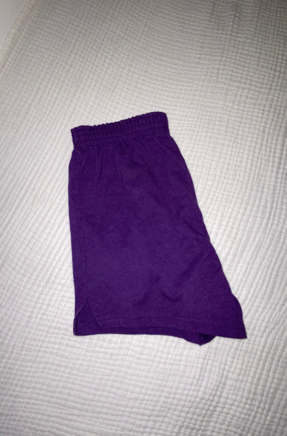 Purple Soffe Shorts - Women Large