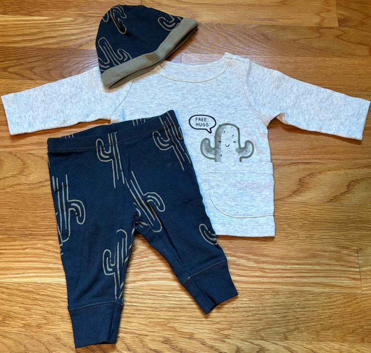 #69 Carter's Cactus Outfit 3M